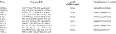 Static Stretch Increases the Pro-Inflammatory Response of Rat Type 2 Alveolar Epithelial Cells to Dynamic Stretch